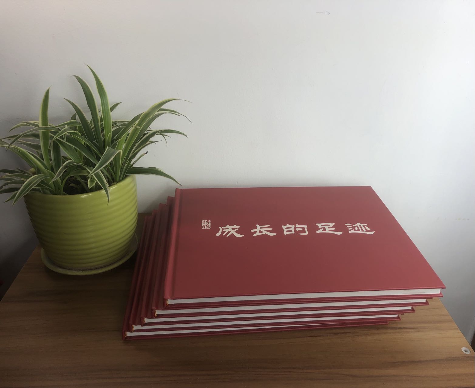 精裝企業(yè)宣傳冊.jpg